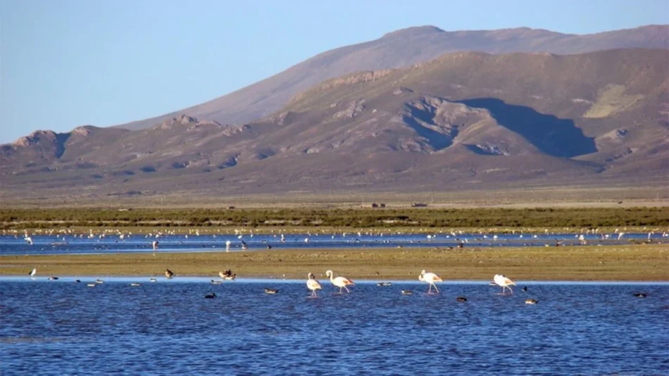 El Monumento Laguna de Pozuelos a la espera de su apertura
