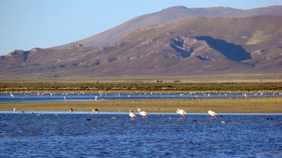 Habilitan las visitas a la Laguna de Pozuelos