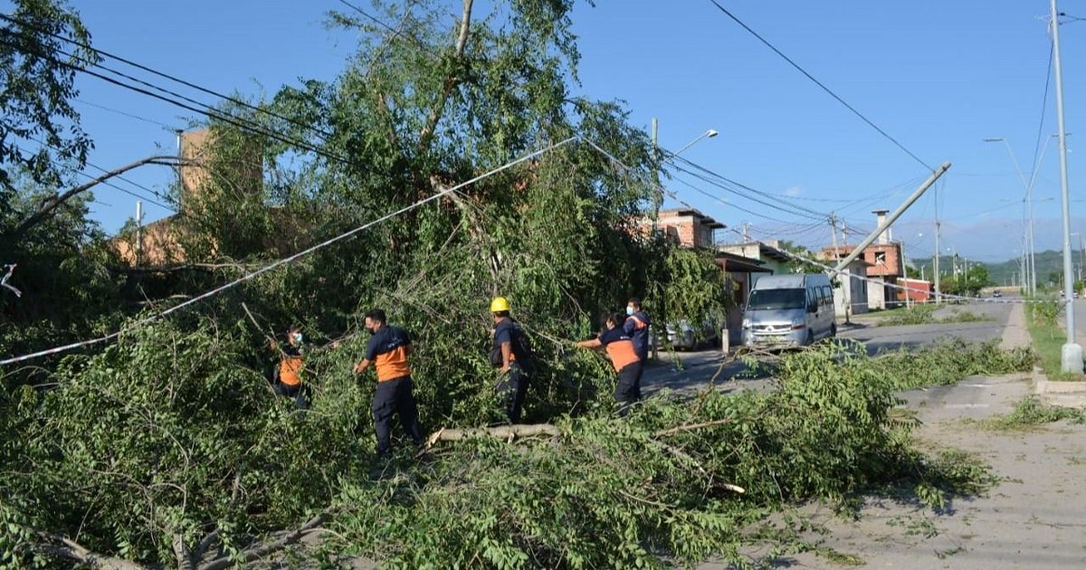La fuerte lluvia dejó caída de árboles, voladuras de techos y casas ...