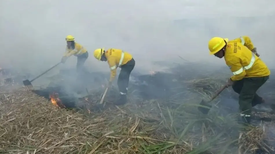 Lanzan inscripción para la diplomatura de Brigadistas de incendios forestales