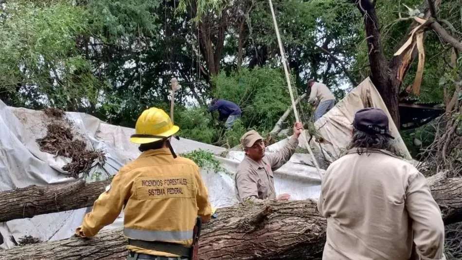 Brigadistas ayudaron a afectados por lluvias
