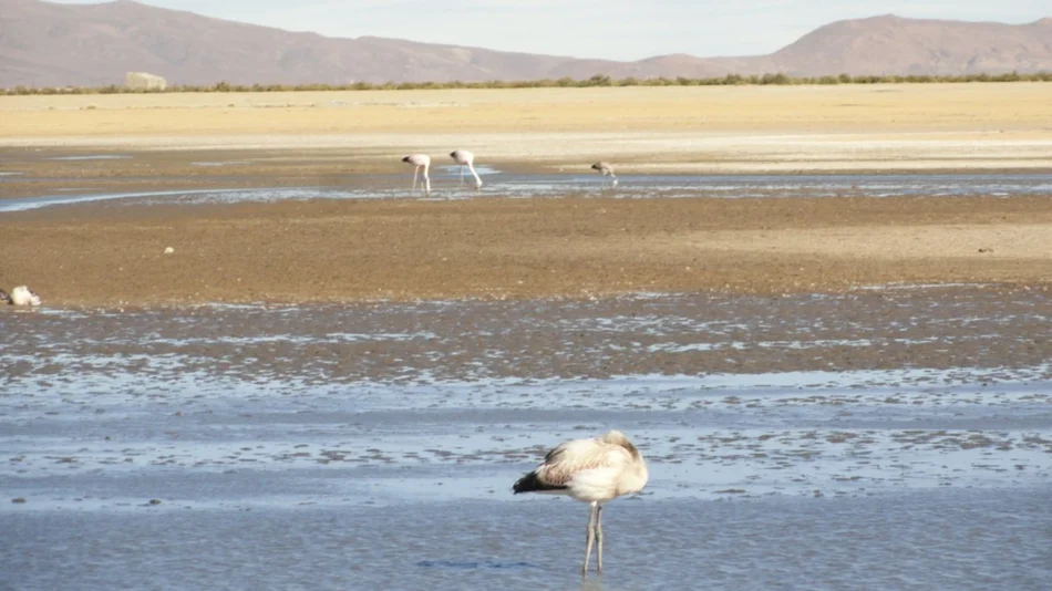 Hoy es el aniversario del Monumento Natural laguna de Los Pozuelos