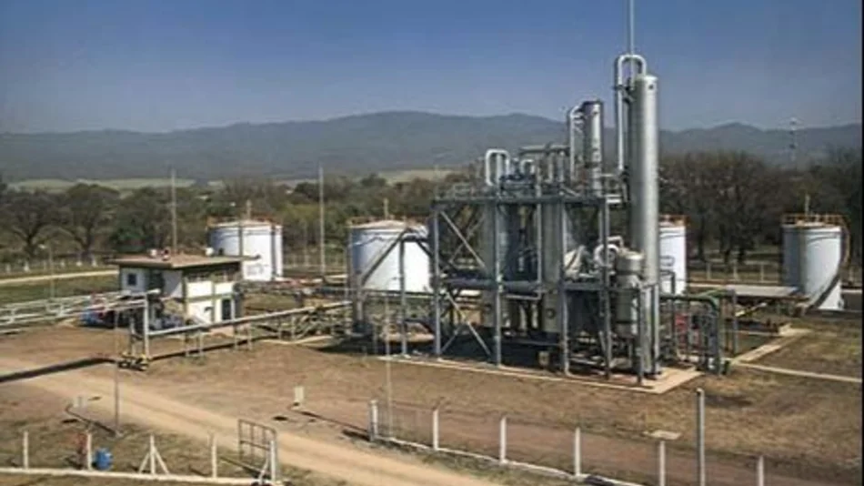 El abastecimiento interno del azúcar está asegurado