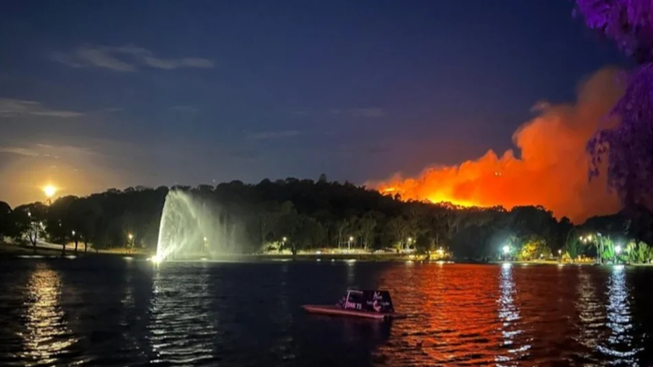 Incendio forestal en Tandil