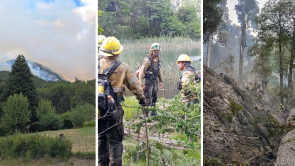 Dramática advertencia sobre los incendios en Nahuel Huapi