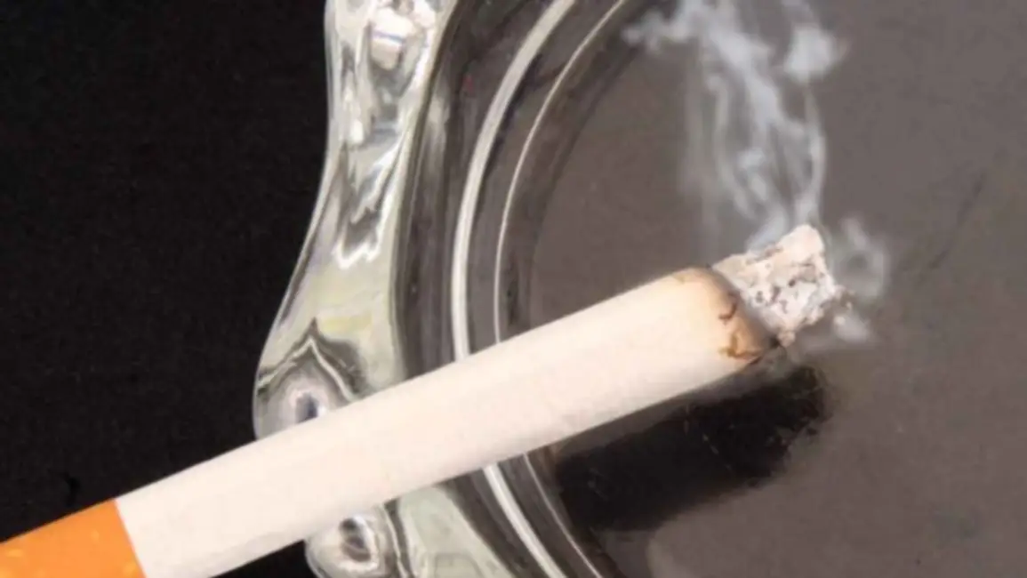 Consecuencias del cigarrillo | humo del cigarrillo, Alianza Libre de Humo Argentina, Aliar