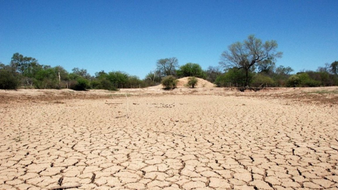 Sequía: facilitan el crédito a los productores afectados