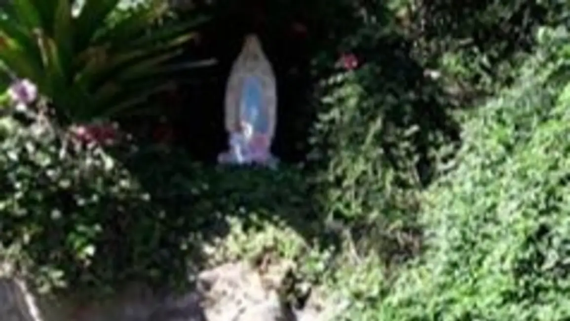 Misa en homenaje al "Día Mundial del Enfermo"
