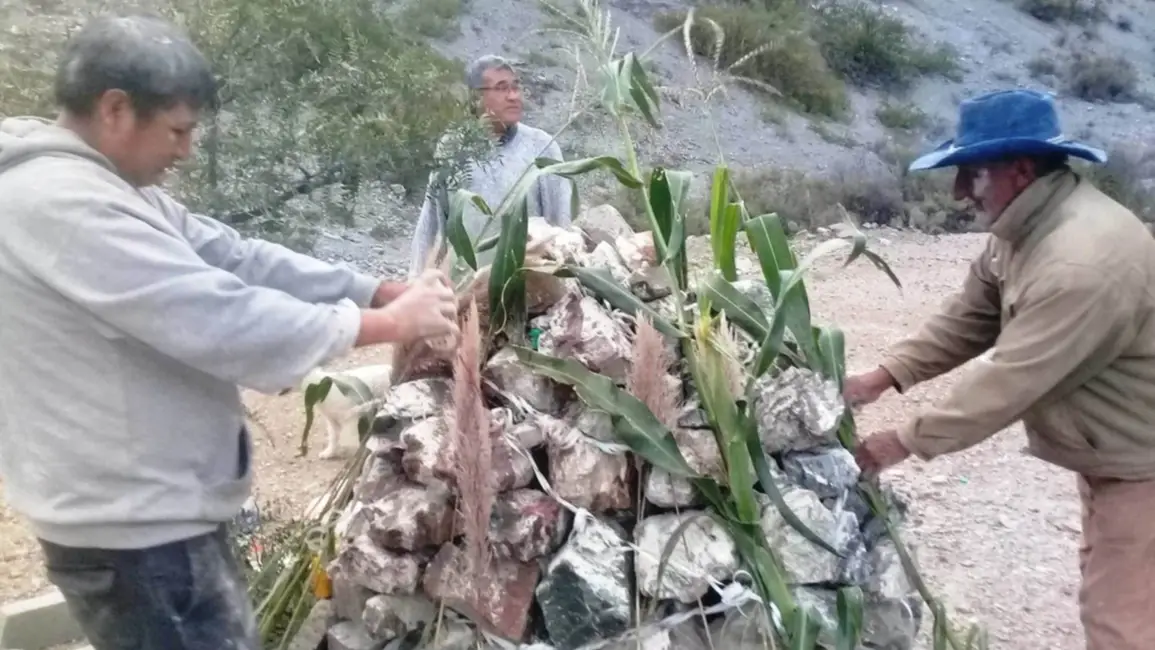 La flor del durazno inicia el carnaval en Purmamarca