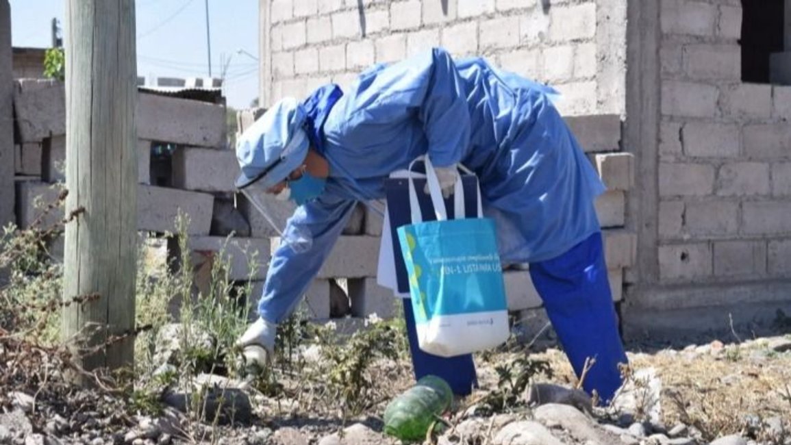 Confirmaron siete nuevos casos de dengue en Jujuy