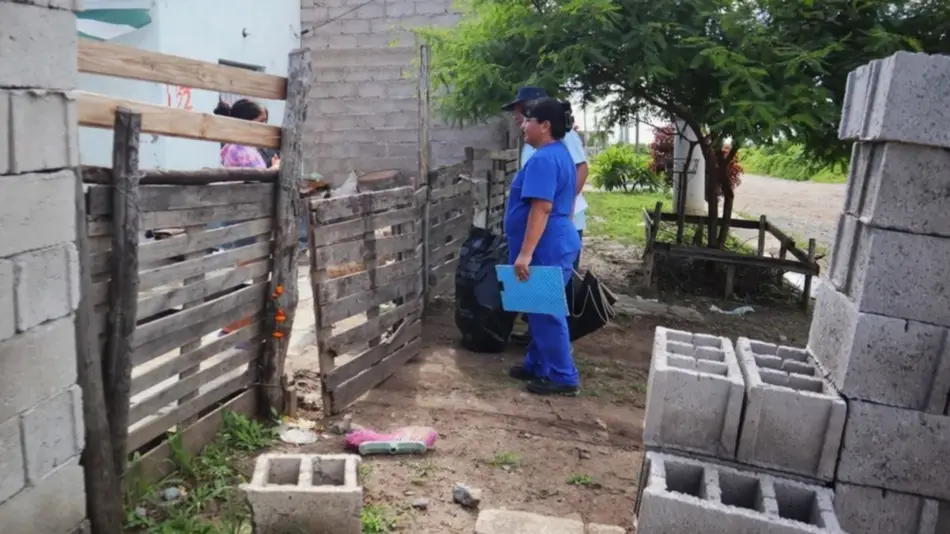 El brote de dengue no da tregua: Argentina ya registró 230 mil casos y 161 muertos