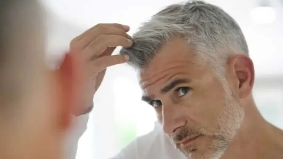 Identificaron un compuesto vegetal que podría retrasar la aparición de canas