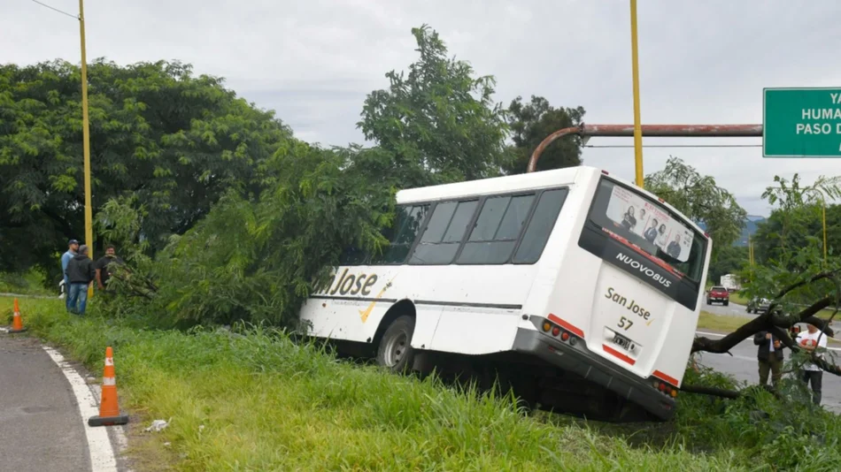 Un colectivo perdió el control y chocó contra un árbol en el acceso sur de Ruta 9
