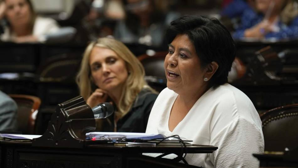 Sarapura votó a favor del proyecto de Ley de Ficha Limpia