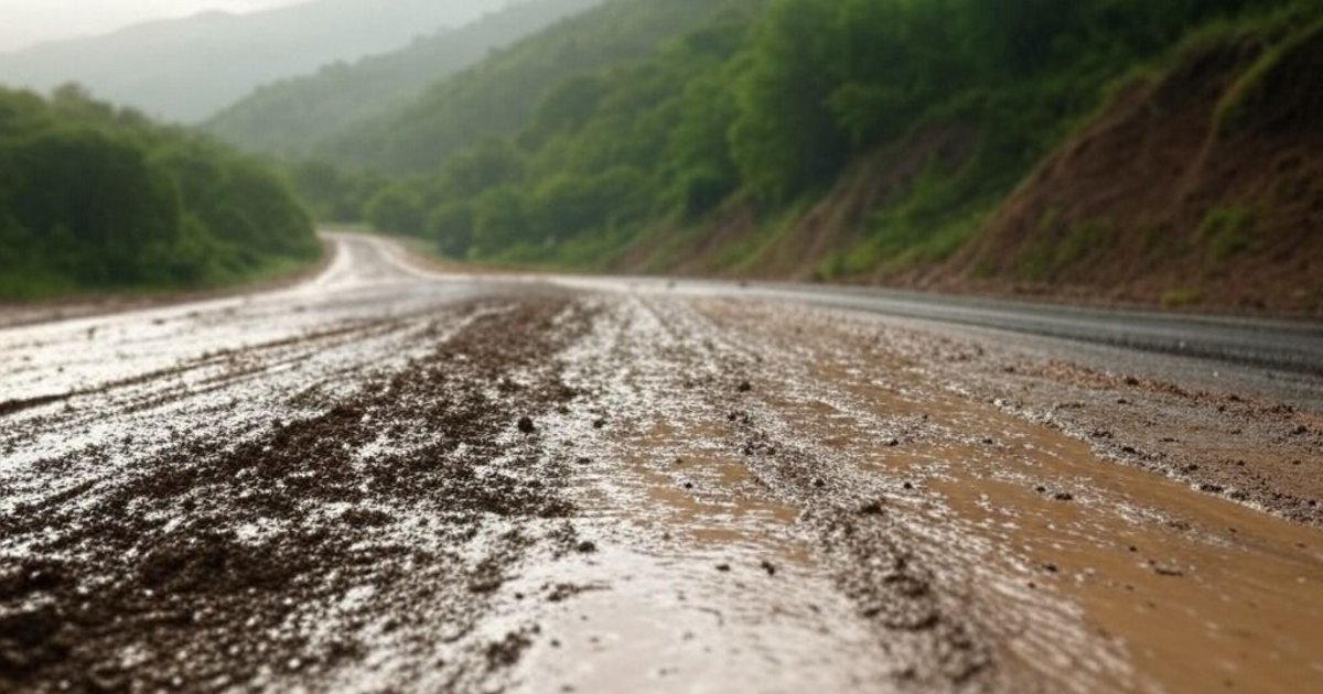 Estado de las rutas en Jujuy, cortes y trabajos en muchos tramos