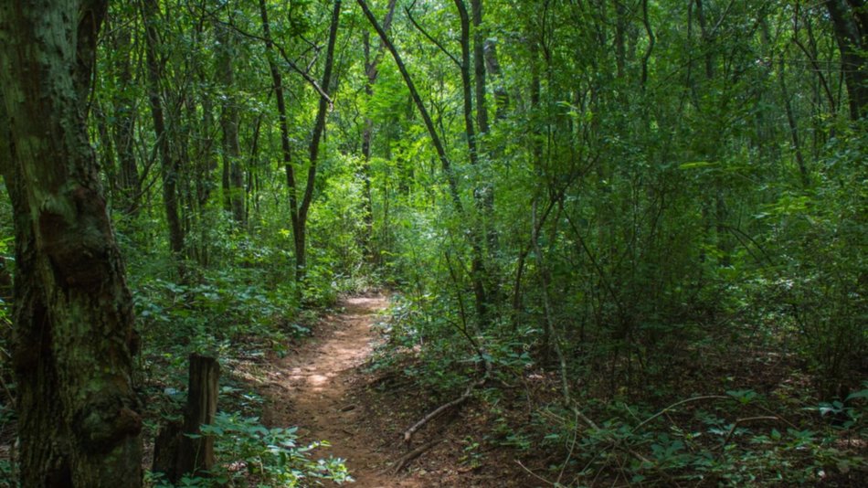 Destacan la buena gestión de la provincia en las reserva de biósfera