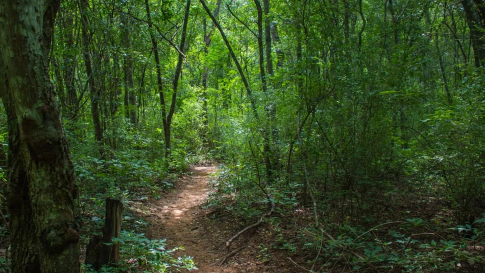 Destacan la buena gestión de la provincia en las reserva de biósfera