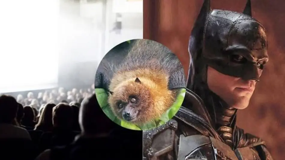 Video muestra a murciélagos volando mientras se proyecta “The Batman” en sala de cine