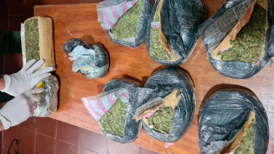 Decomisaron marihuana y cocaína en encomiendas