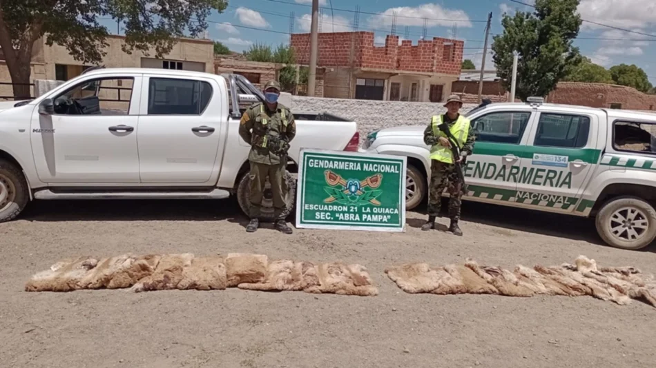 Incautan cueros de un animal en peligro