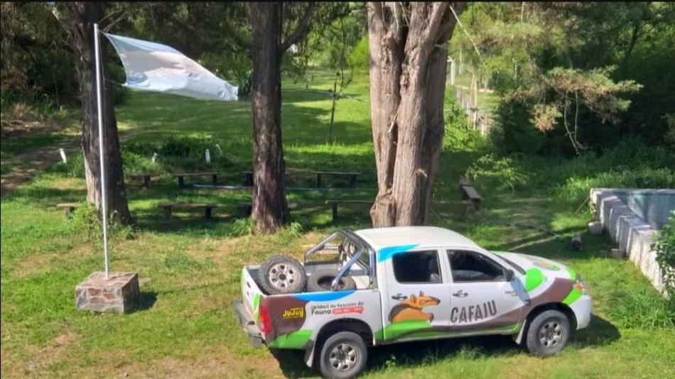 Acciones ambientales por las faltas contravencionales