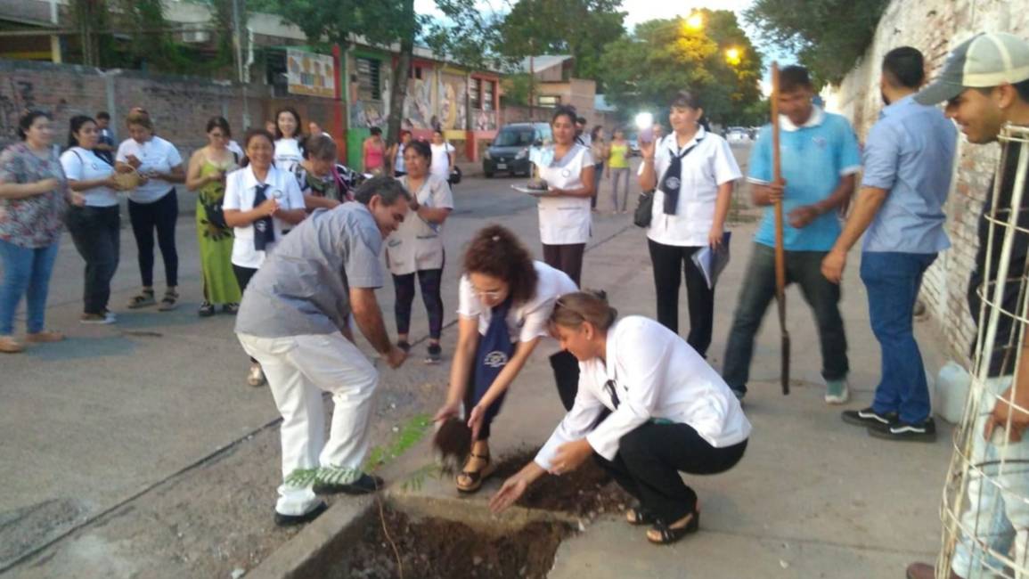 Docentes comprometidas en la plantación de árboles