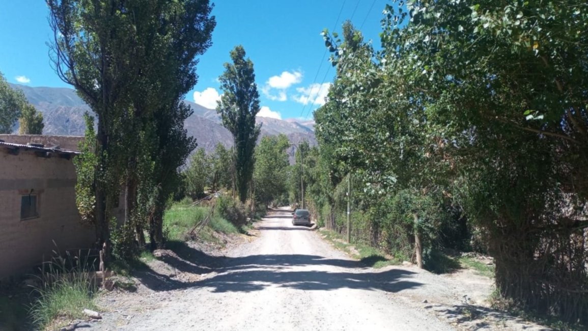 Festival del Durazno, la Humita y el Folclore en Juella