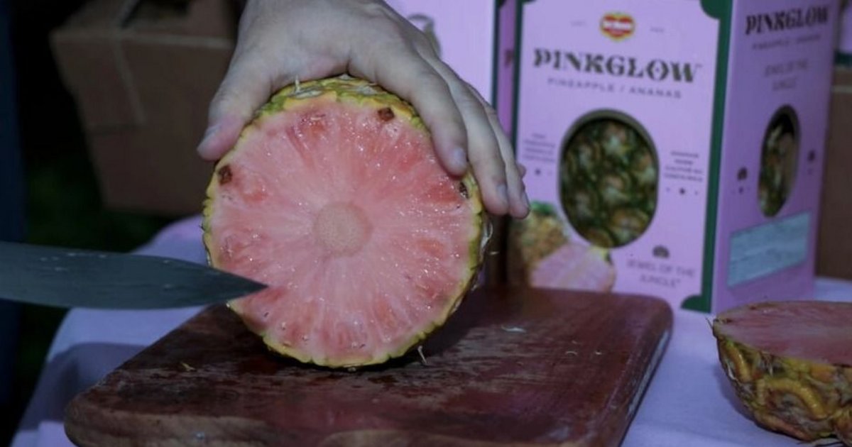 Video. La piña rosa, una fruta inventada en Costa Rica