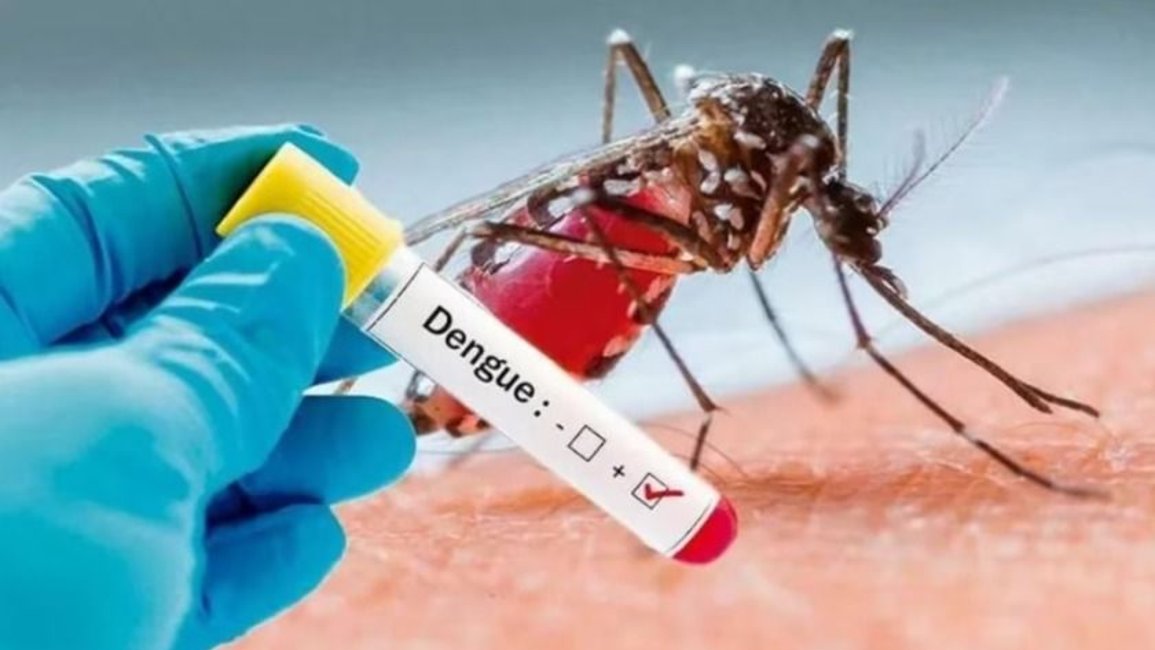 Dengue: en qué casos existe riesgo de desarrollar enfermedad grave