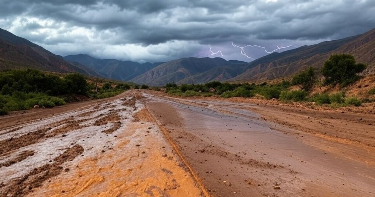 Continúan varios cortes en rutas de Jujuy, piden precaución para viajar ...