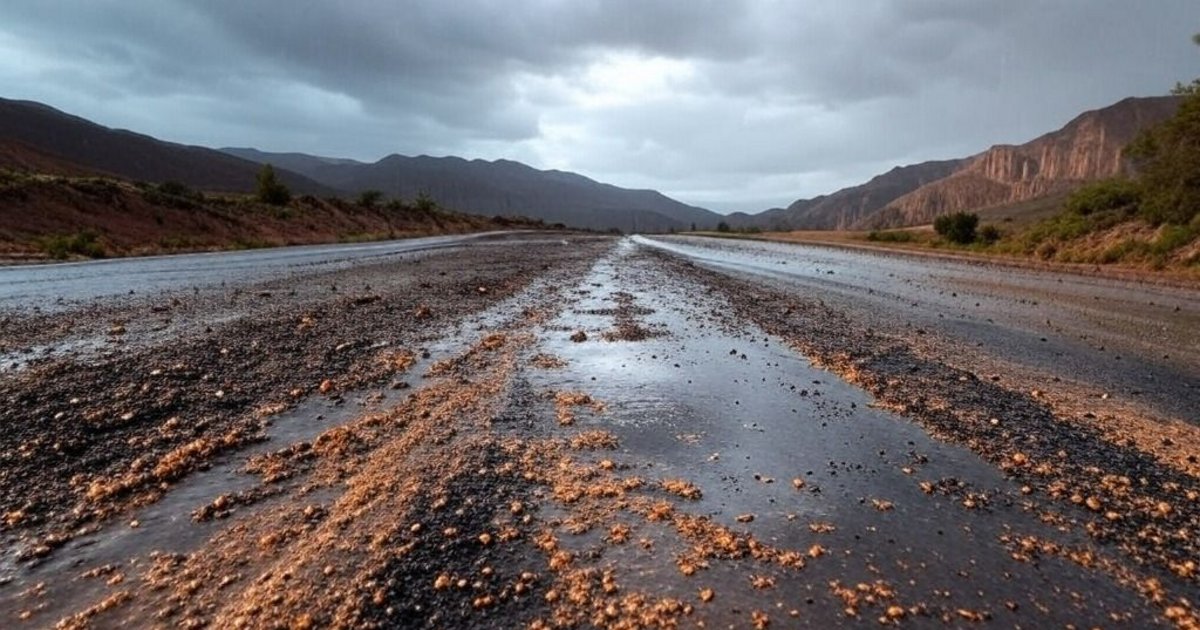 Este es el estado de la rutas de la provincia