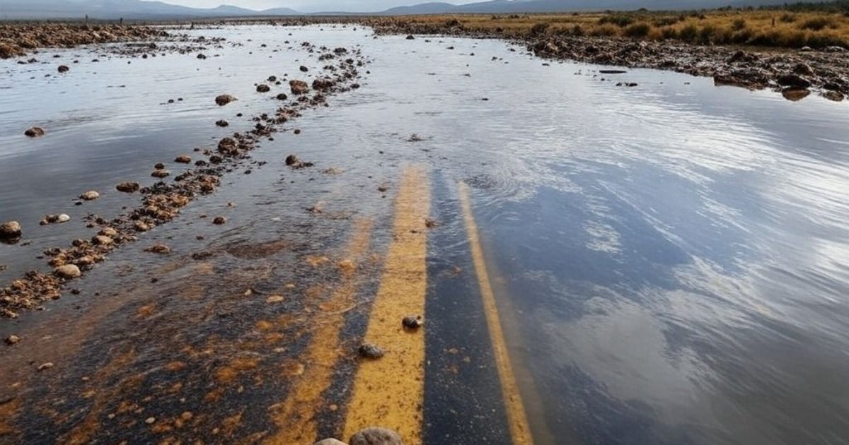 Este es el estado de transitabilidad de las rutas de la provincia