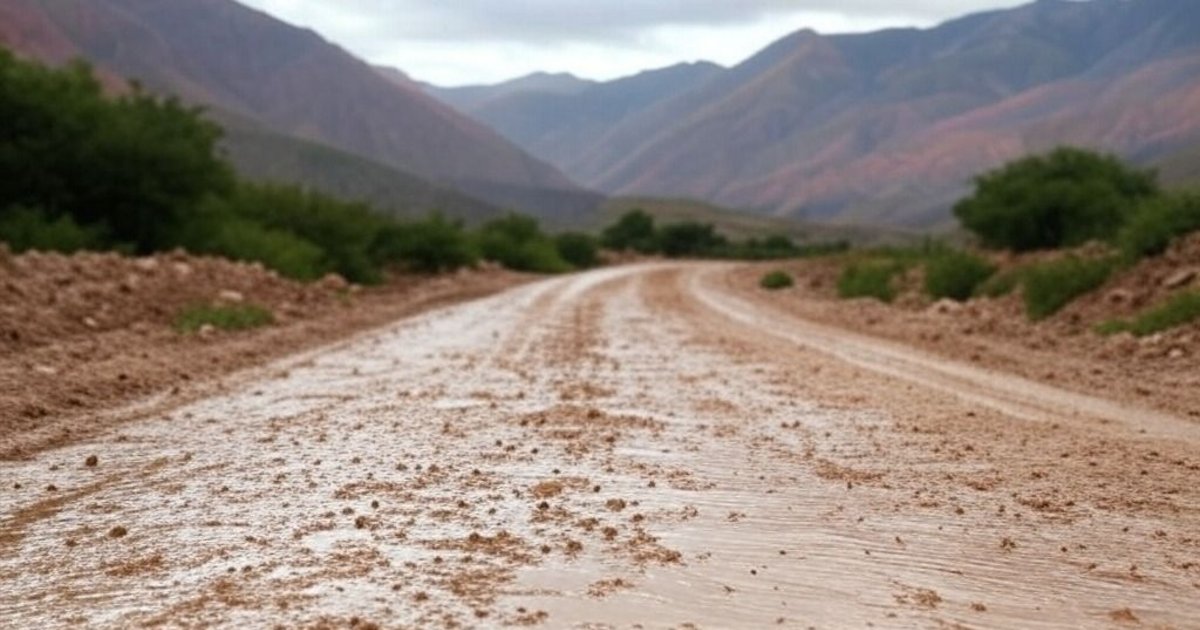 Estado de transitabilidad de rutas en Jujuy: cortes totales y vías con ...