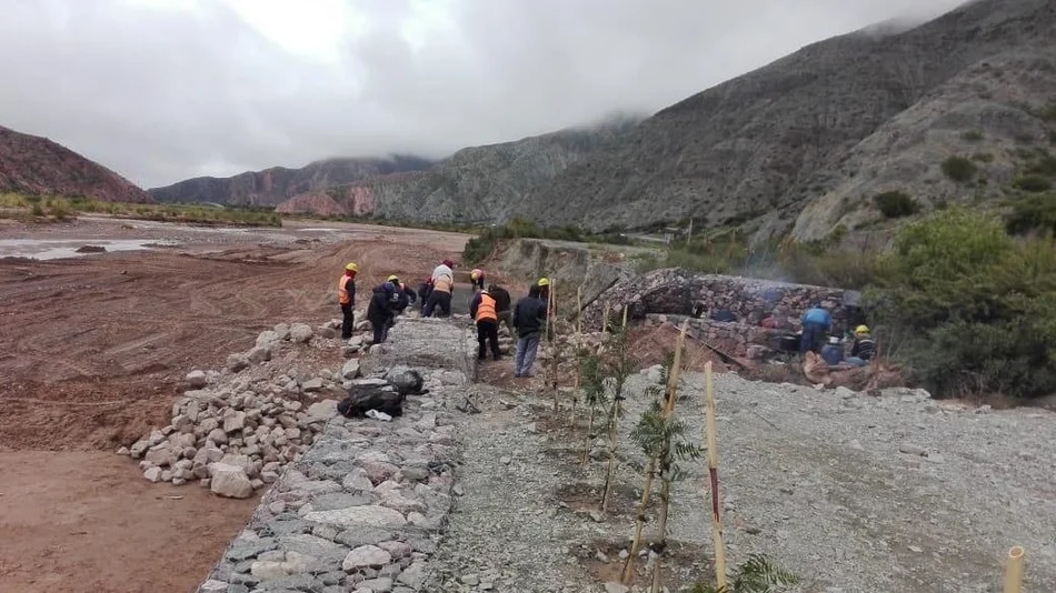 Programa de forestación en traza del tren 