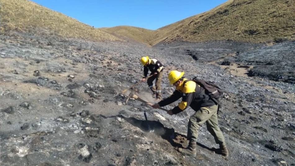 Brigadistas en Neuquén
