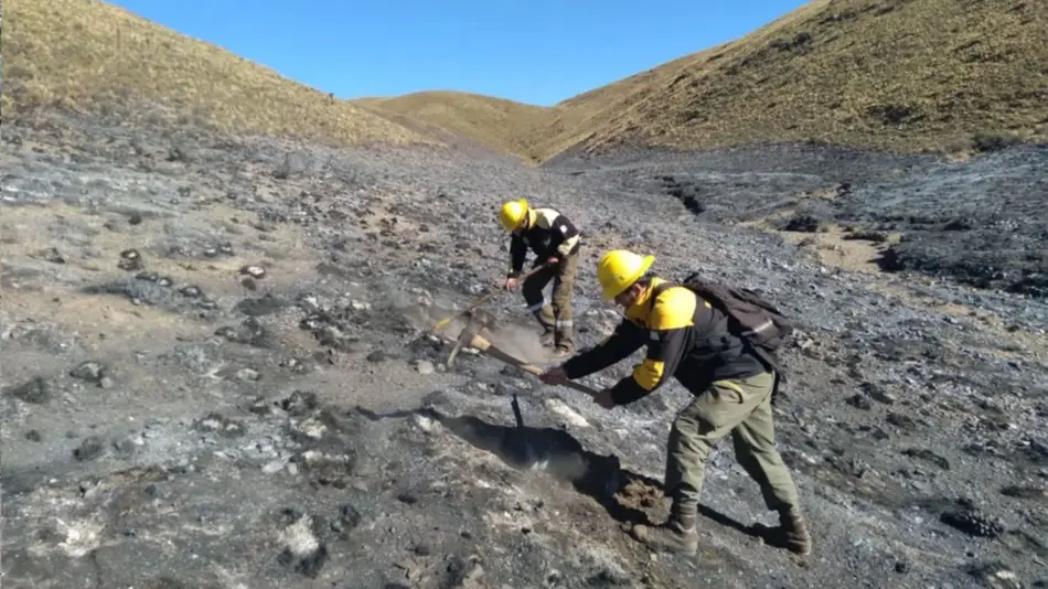 Brigadistas en Neuquén
