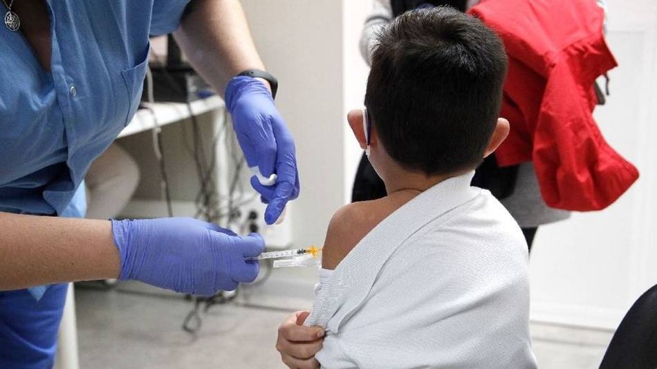 Vacuna contra el dengue: desde qué edad podrá ser aplicada en niños