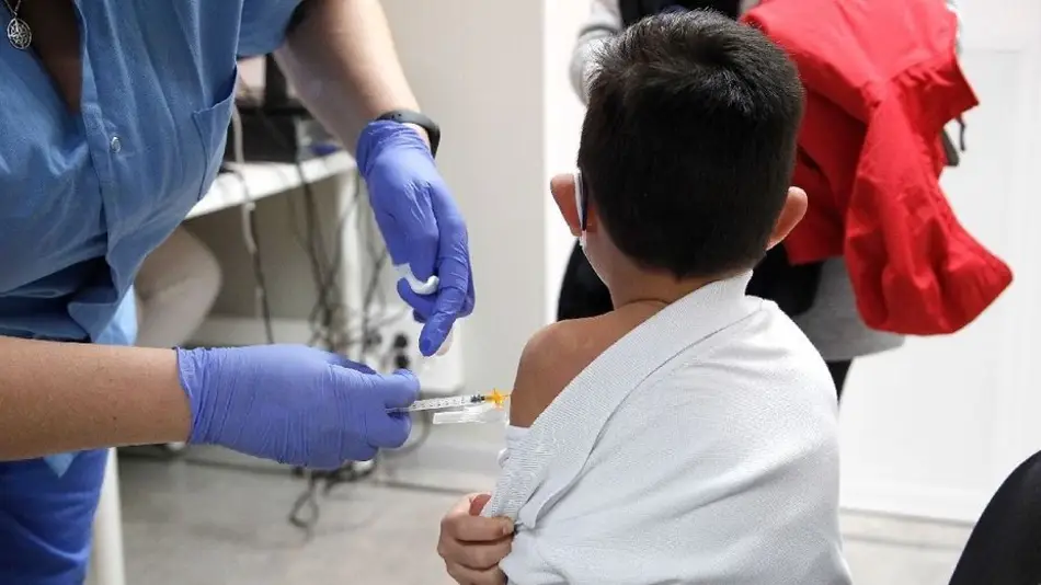 Vacuna contra el dengue: desde qué edad podrá ser aplicada en niños