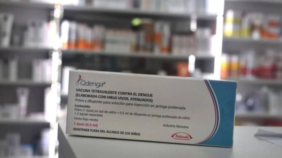 No se consiguen vacunas contra el dengue ni repelentes