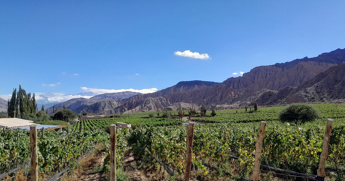 Se potencia el enoturismo en la provincia