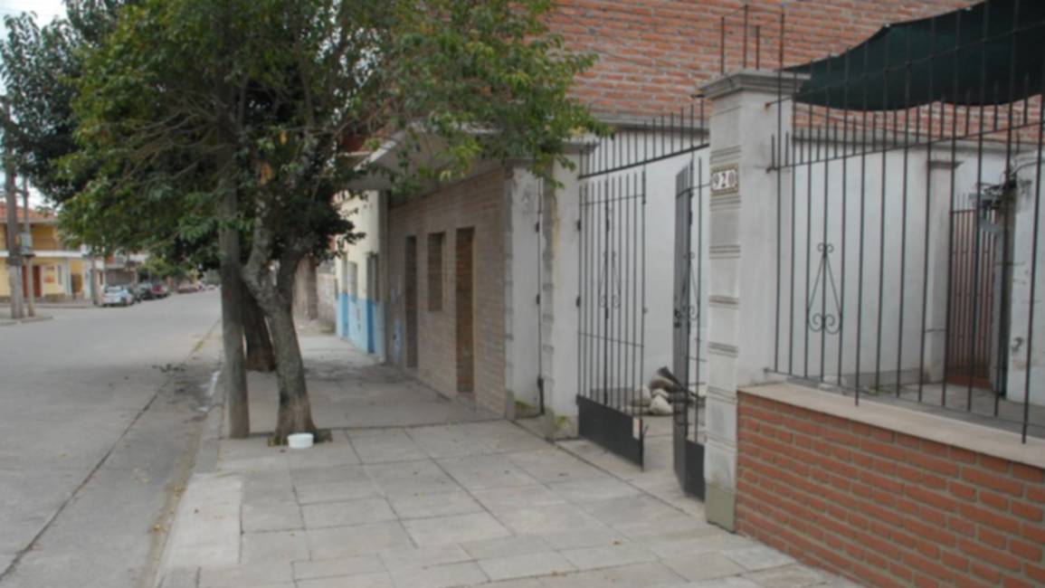 Denuncia por perros envenenados 