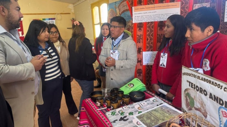 Alumnos de Susques trabajan para promover la raíz ajipilla