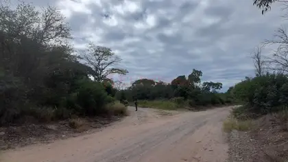 Angelina González | Últimas noticias El Tribuno de Jujuy