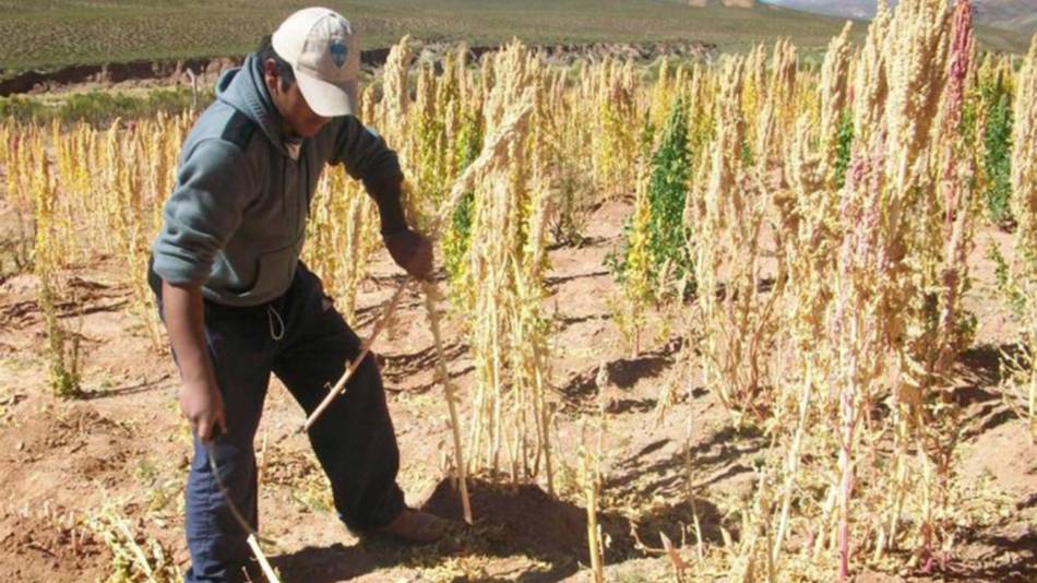 La devaluación perjudica a las provincias periféricas 