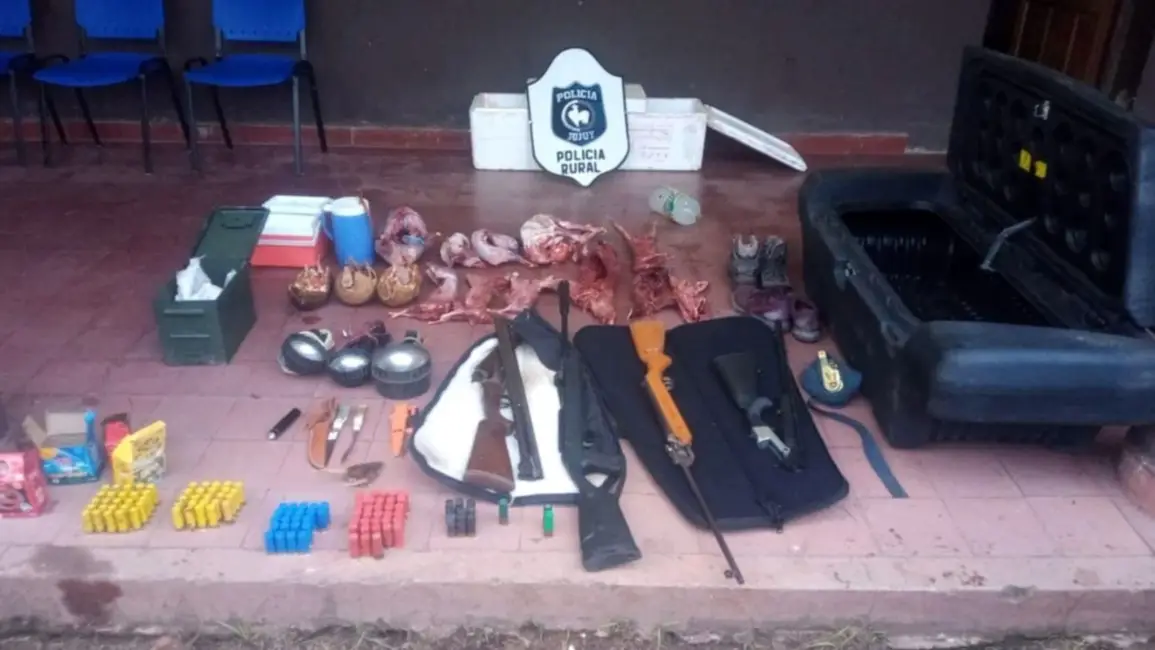 Caza furtiva: dos arrestados, armas y animales muertos secuestrados