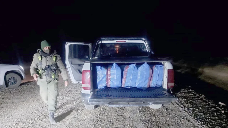 Secuestran 865 kilos de  hojas de coca en la Puna