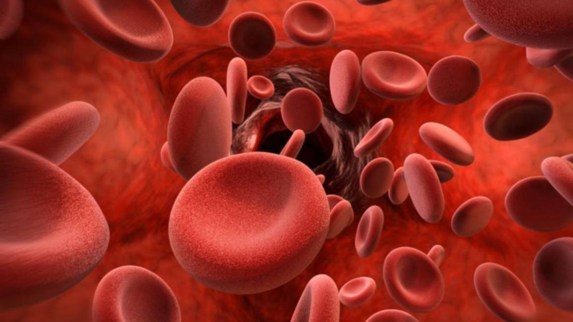 Hemofilia: un nuevo tratamiento ya está disponible en la Argentina