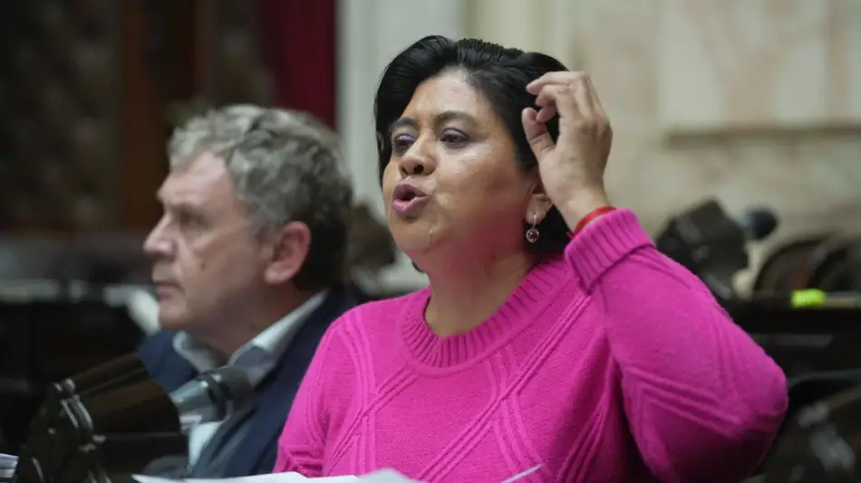 "UCR, ni obsecuente ni obstructora, demócrata"