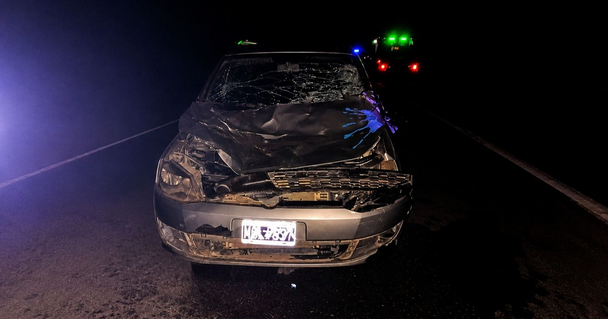 RP 56: dos caballos fueron atropellados por un camión y un auto