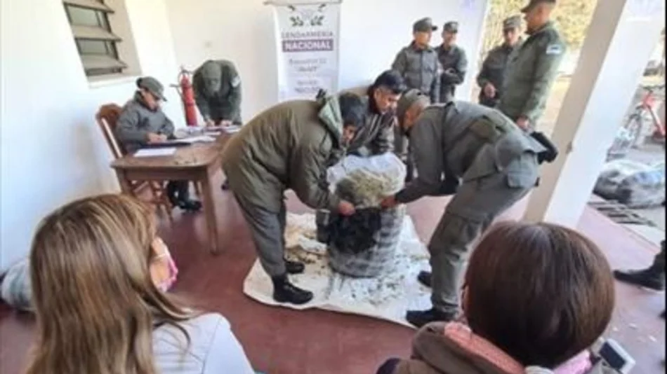 Gendarmería incautó en Jujuy cargamentos de hoja de coca y cigarrillos valuado en $4 millones 